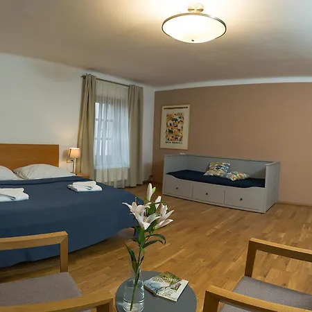 Thir Penzion Tábor